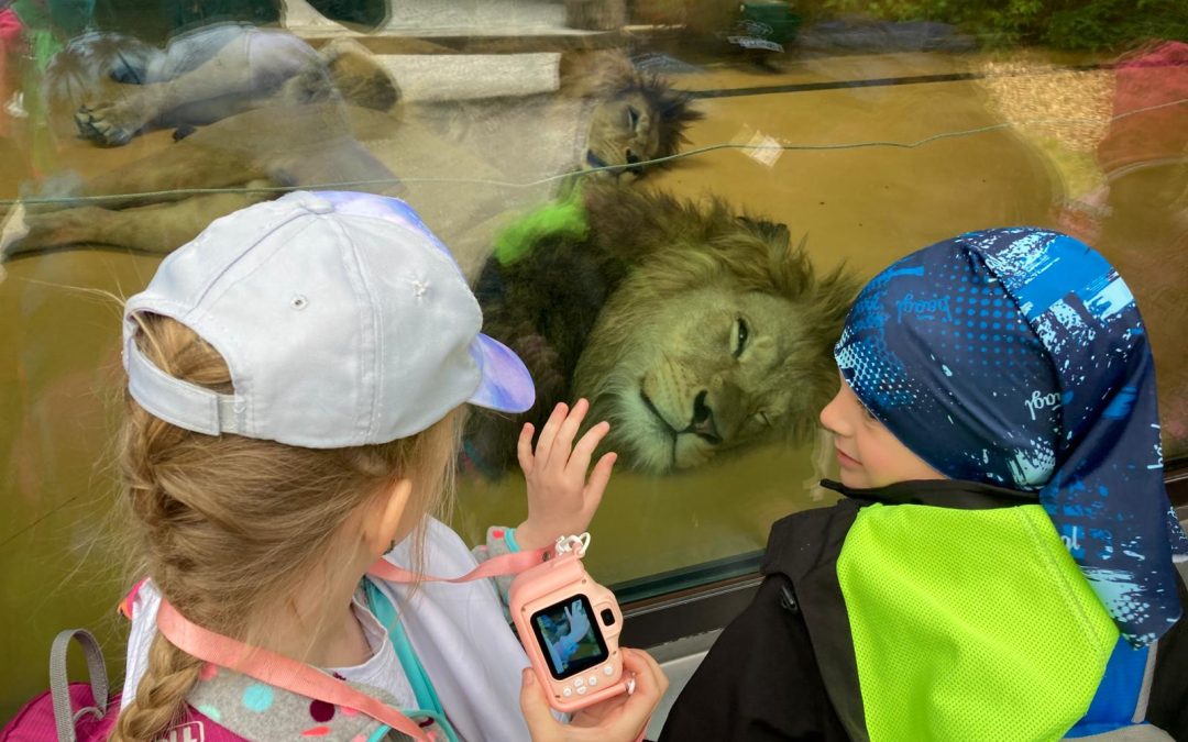 Výlet do ZOO Dvůr Králové – dobrodružství mezi zvířaty i kapkami deště